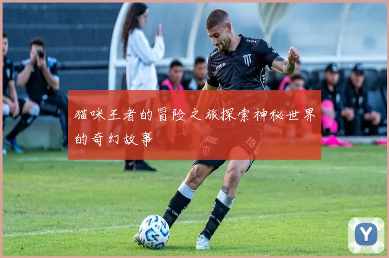 猫咪王者的冒险之旅探索神秘世界的奇幻故事