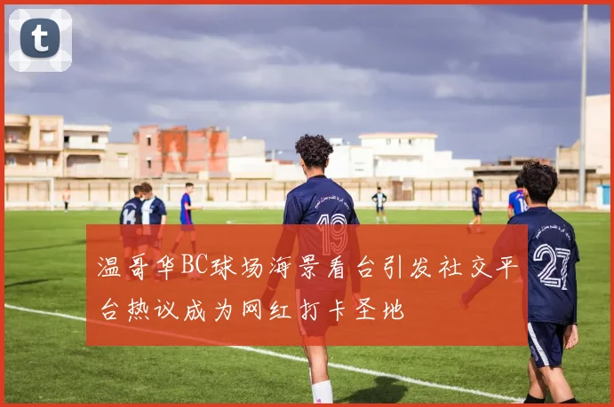 温哥华BC球场海景看台引发社交平台热议成为网红打卡圣地