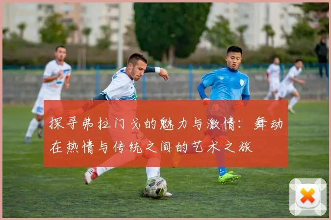 探寻弗拉门戈的魅力与激情：舞动在热情与传统之间的艺术之旅