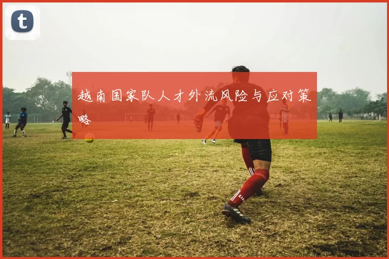 越南国家队人才外流风险与应对策略